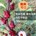 洛神花种子玫瑰茄花籽种籽食用保健花茶药用庭院花园盆栽四季