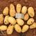 精品黄心土豆（希森、沃土、实验一、大丰十和V7）质优价廉