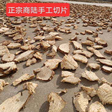 商陆野生山萝卜新鲜切片晒干土人参章柳根鲜货干货
