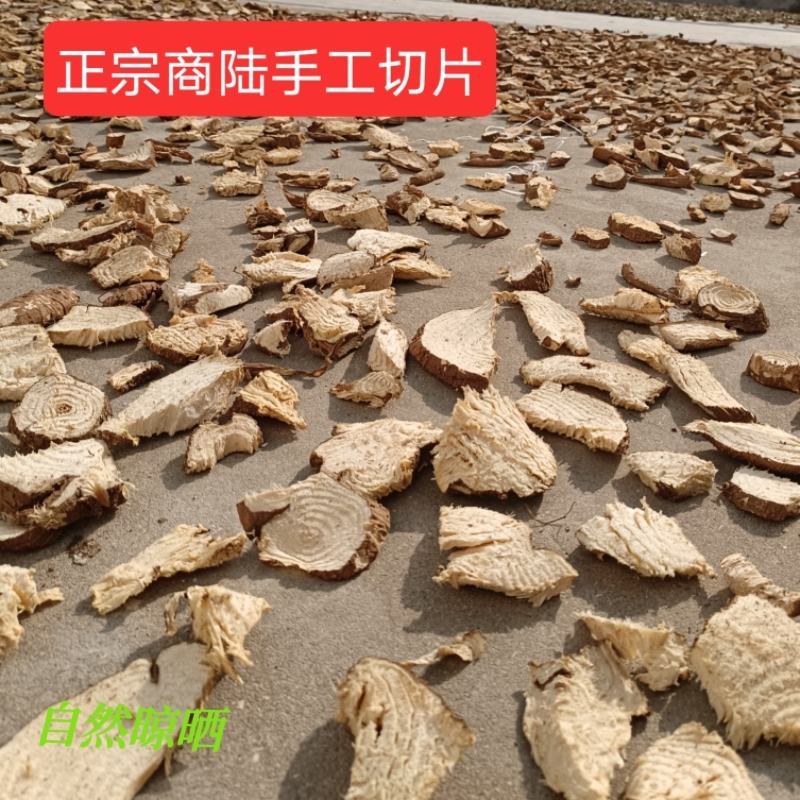 商陆野生山萝卜新鲜切片晒干土人参章柳根鲜货干货