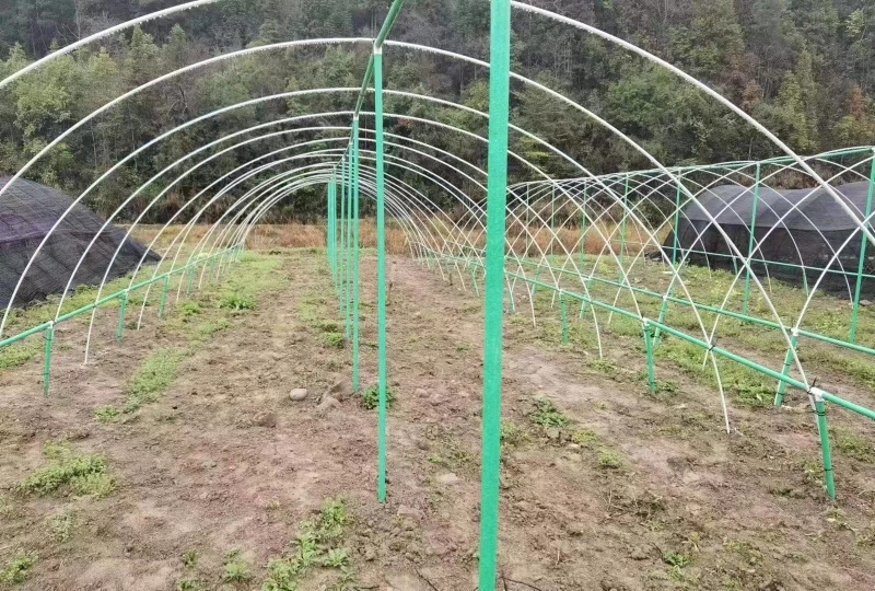 大棚拱棚百香果立柱拱棚立柱火龙果立柱