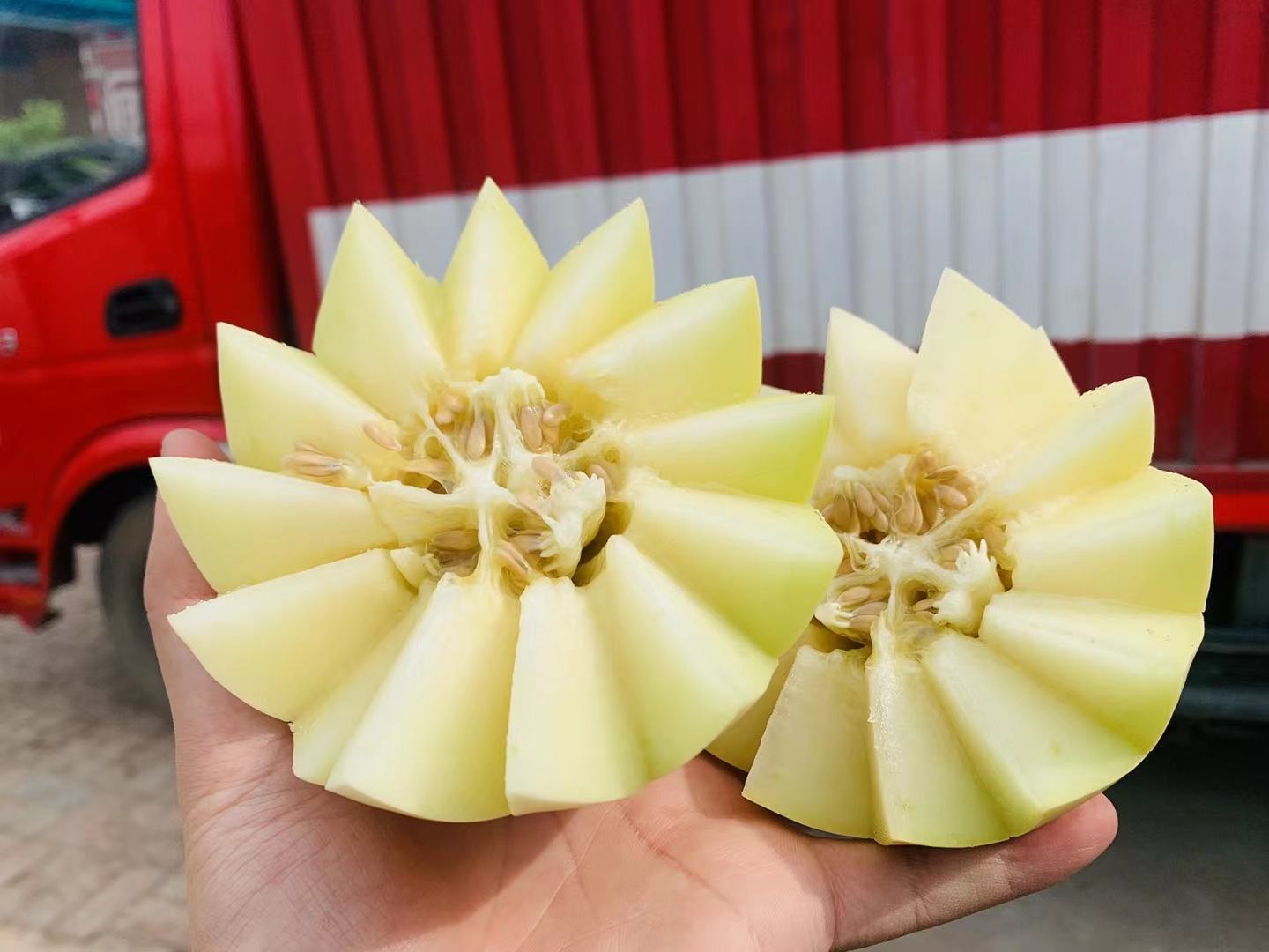 靖远西瓜分拣包装车间场景