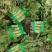 【推荐】茂县三青莴笋大量上市质量保证欢迎各位老板联系