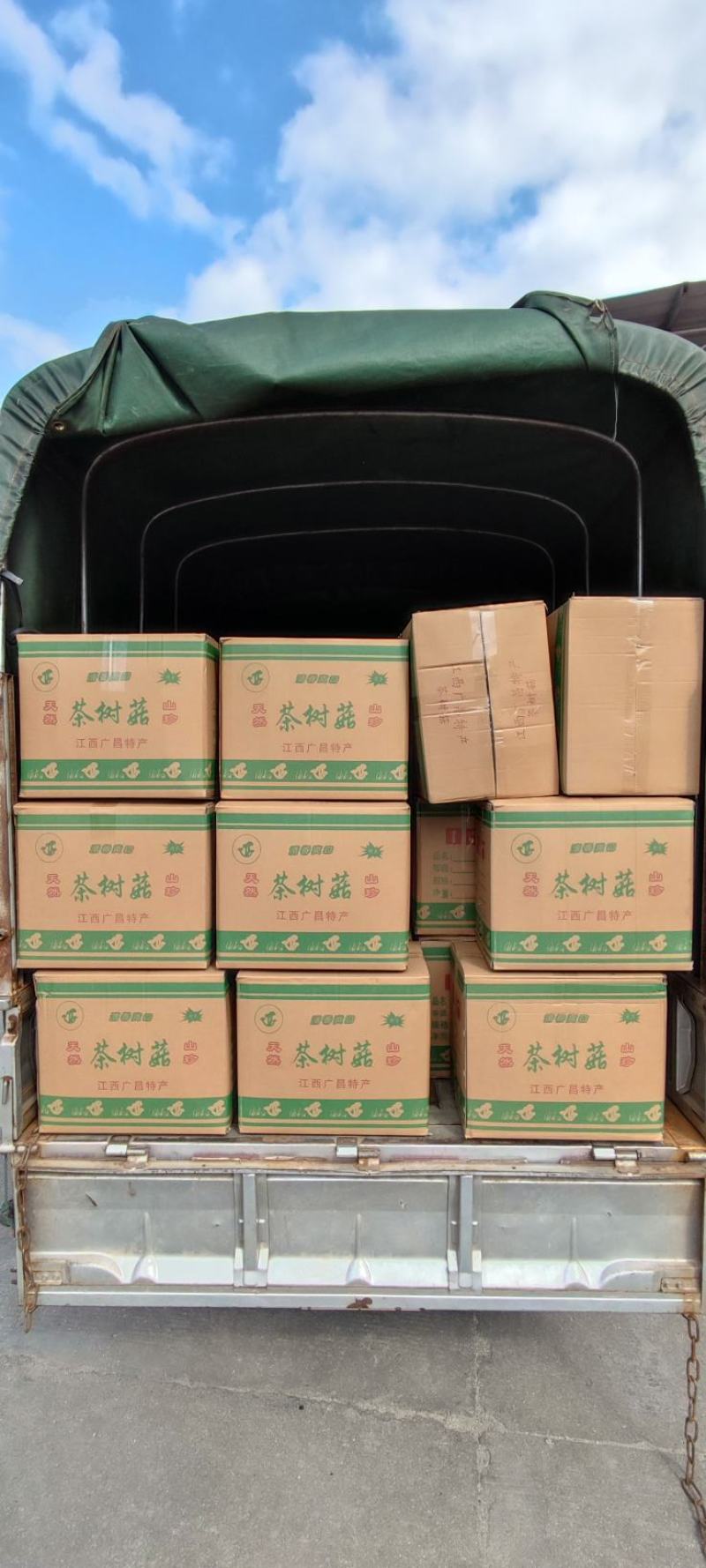 江西广昌县精品茶树菇三号菇剪脚排箱10斤装