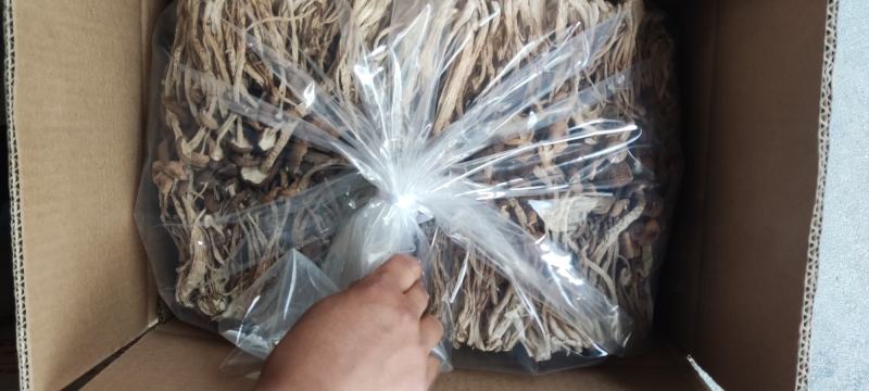 江西广昌县精品茶树菇三号菇剪脚排箱10斤装