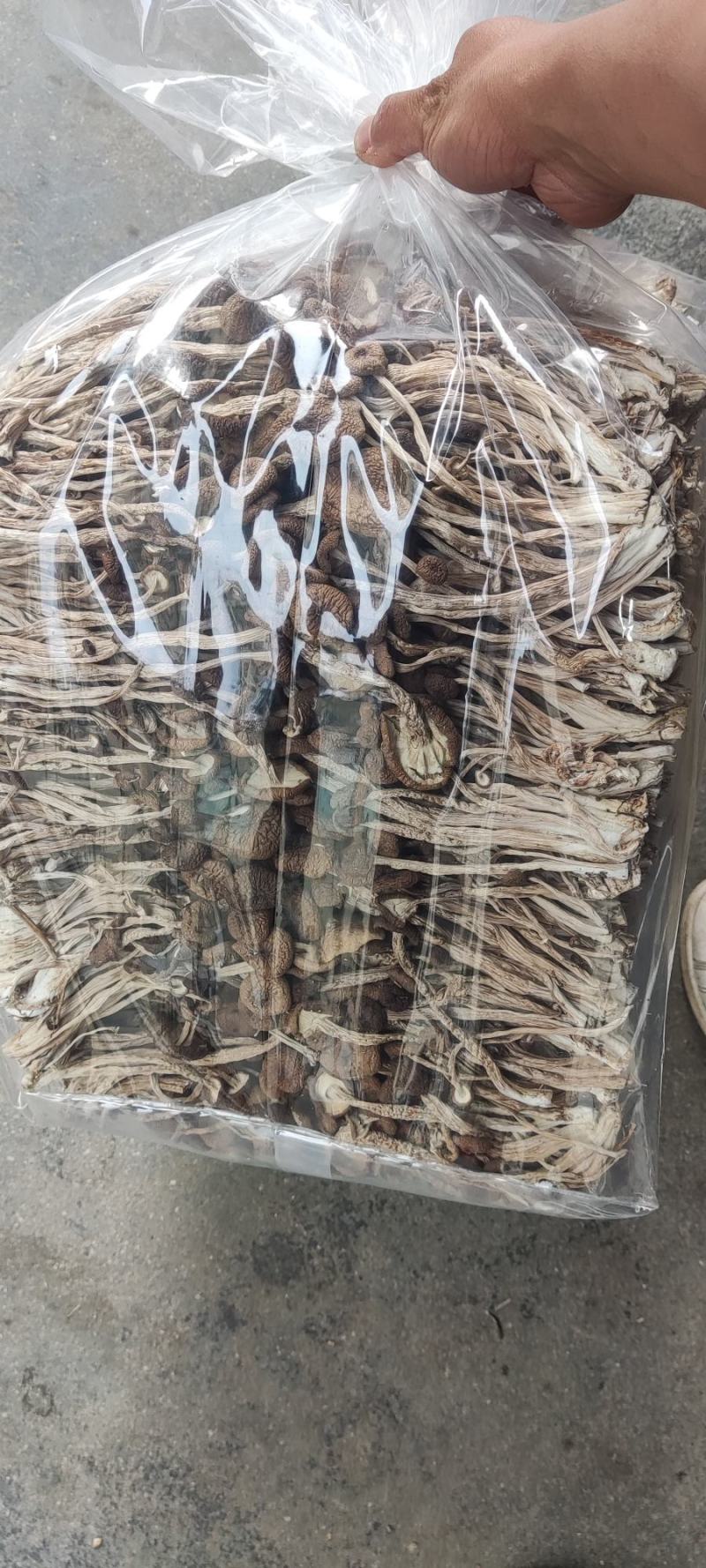 江西广昌县精品茶树菇三号菇剪脚排箱10斤装