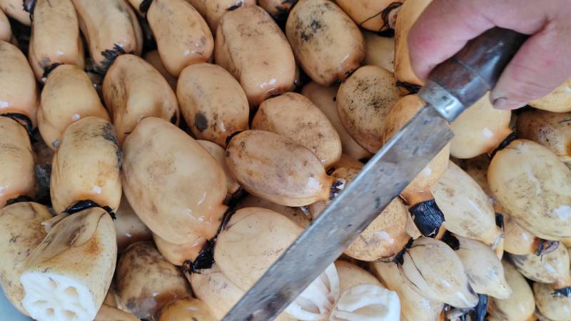 精品莲藕可对接个大市场商超电商