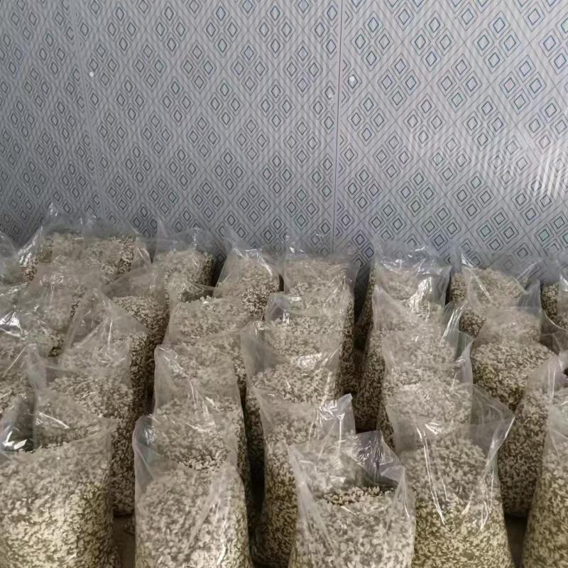 2025年精品槐花大量上市，有意向合作的老板联系