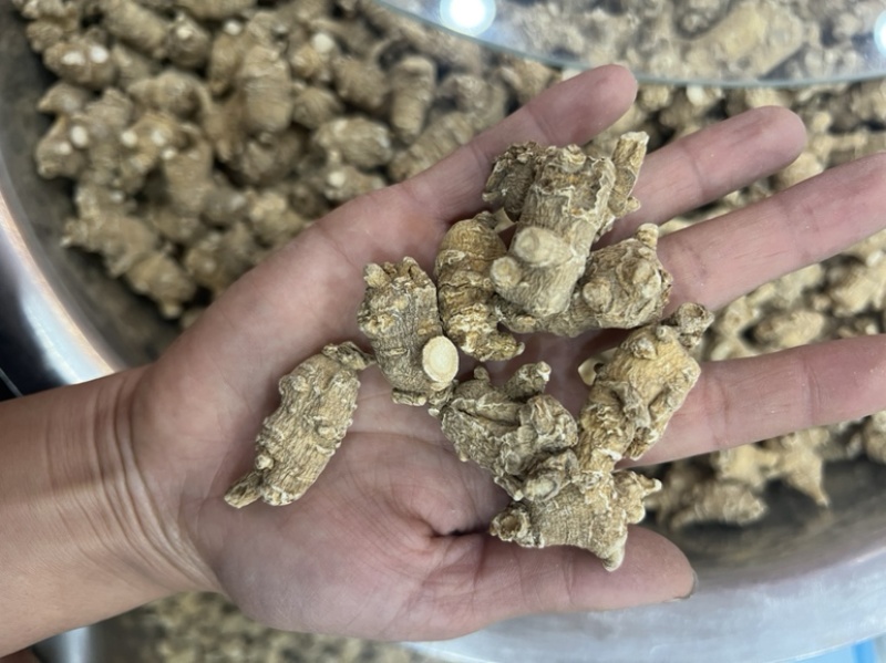 西洋参，花旗参，粒头参，西洋参片，各种规格