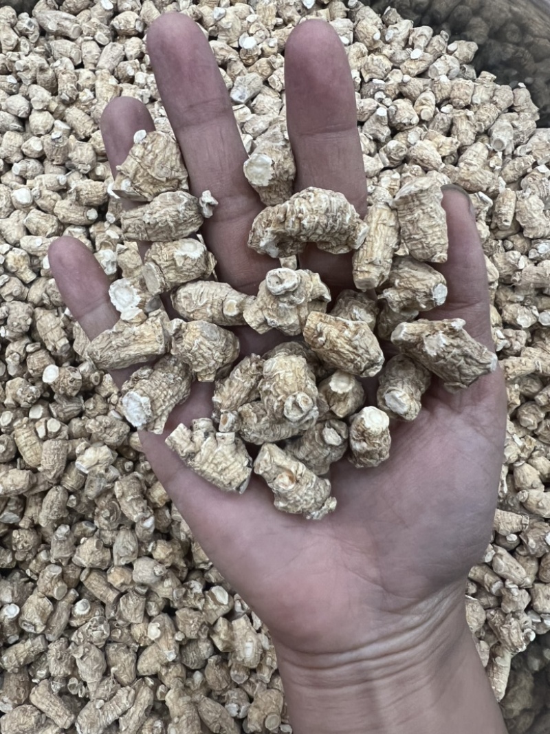 西洋参，花旗参，粒头参，西洋参片，各种规格