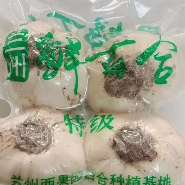 兰州甜百合一斤装