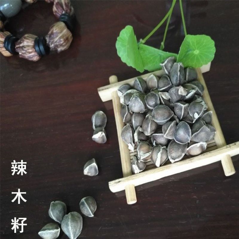 印度辣木籽果辣木子精品大粒多种规格