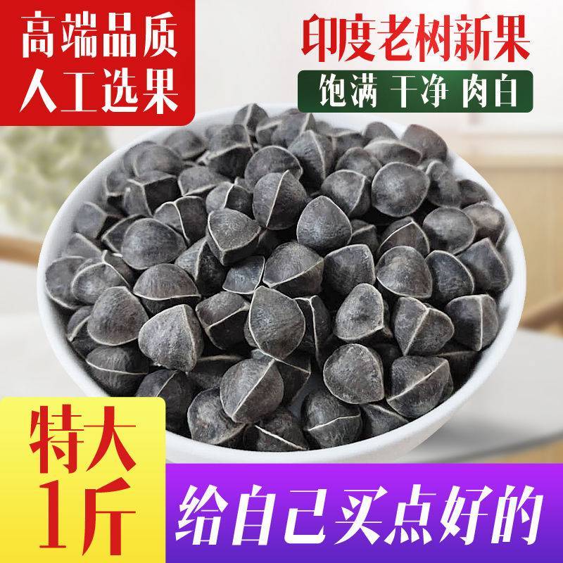 印度辣木籽果辣木子精品大粒多种规格