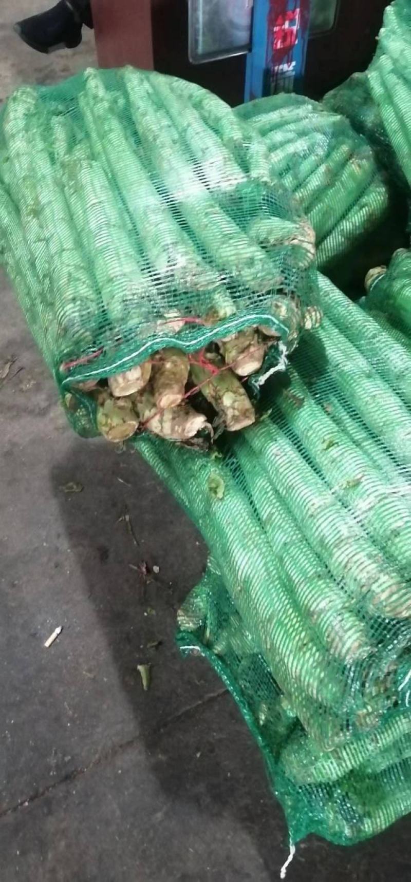 红叶香笋、一手货源、产地直发、无裂口无空心
