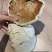 野生灵芝