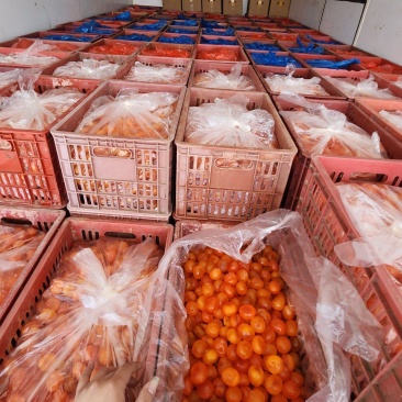 咸鸭蛋黄咸蛋黄供食品厂，批发部诚信经营品质保障