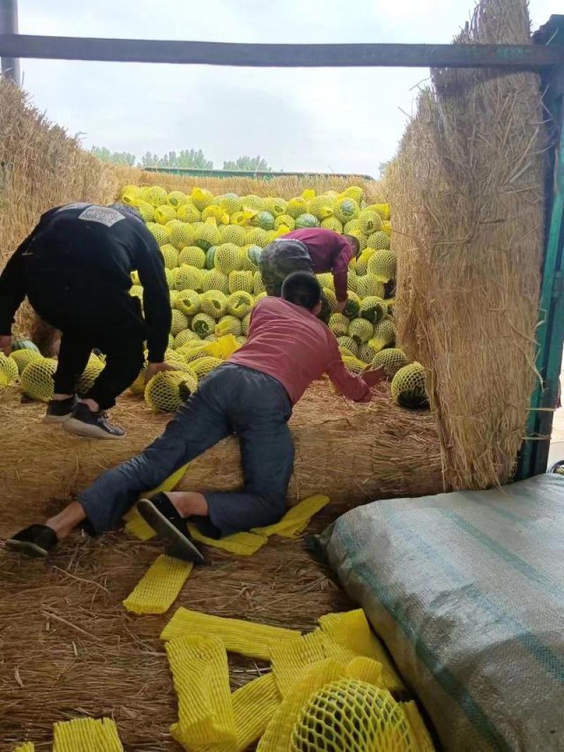 电商甜王西瓜产地直发，大量现货可以视频，个个薄皮大红瓤