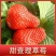 甜查理脱毒草莓苗、产量高，果子硬，早熟品种