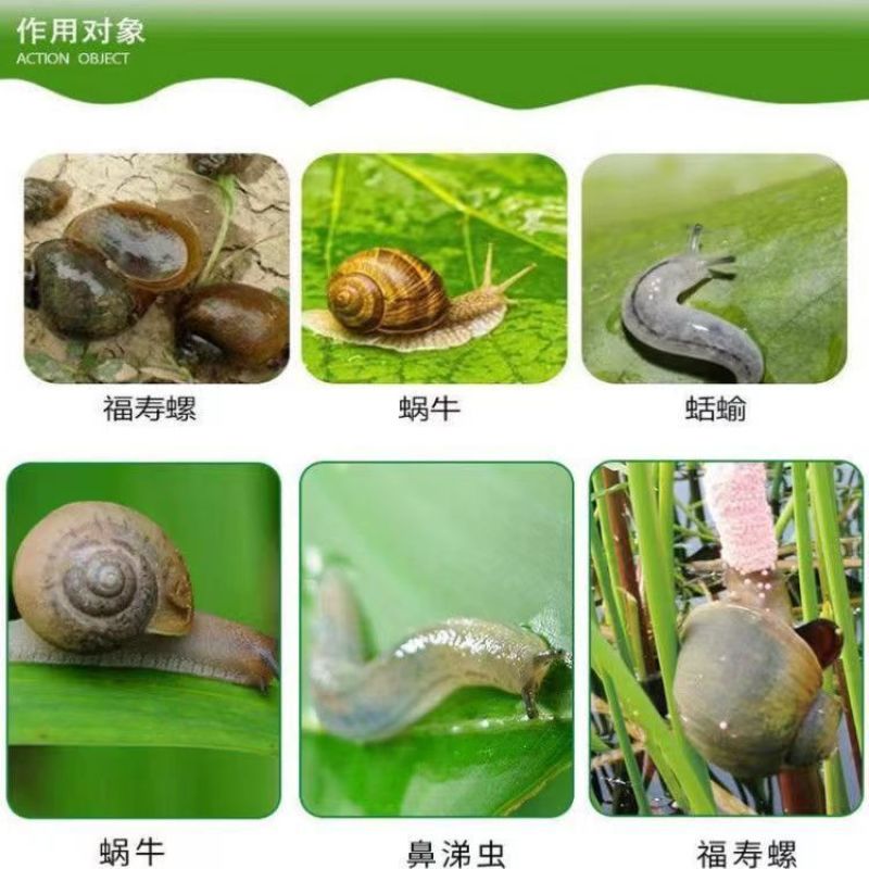 涡漯斯40%四聚乙醛喷雾蜗牛药鼻涕虫蛞蝓钉螺福寿螺杀软体