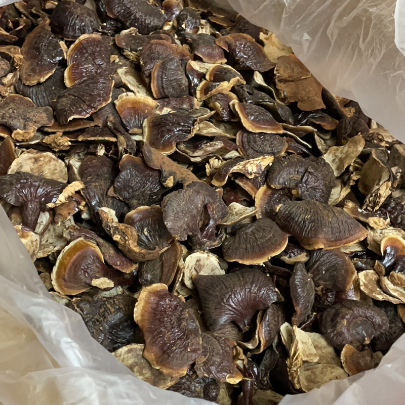 【秒接单】精选均匀中个灵芝货源充足干货现货现发