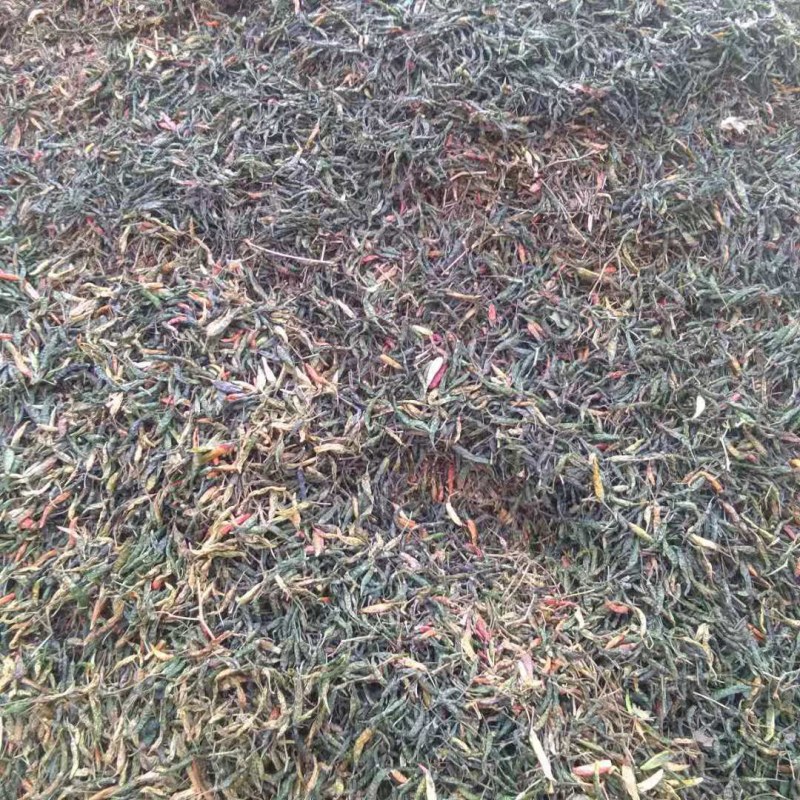 高辣艳红青干辣椒