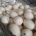 红肉脆梨，各种八里香甜瓜5月份上市，绿色无公害，品种多