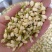 【茉莉花】茉莉花现货供应物美价廉量大从优