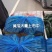 蜜刺油亮黄瓜