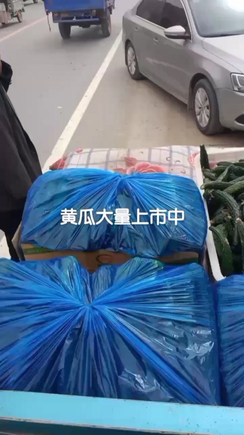 蜜刺油亮黄瓜