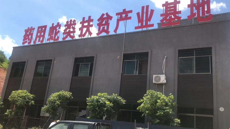 养殖基地直销优质蛇蜕，龙衣