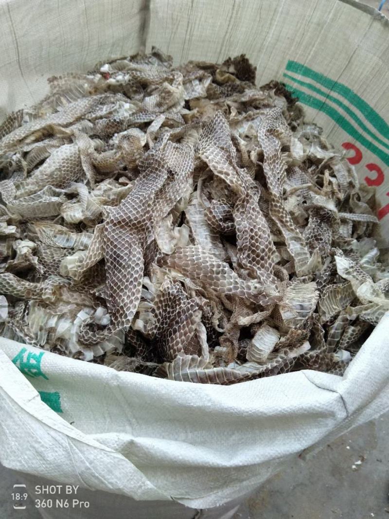 养殖基地直销优质蛇蜕，龙衣