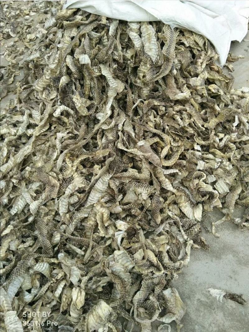 养殖基地直销优质蛇蜕，龙衣