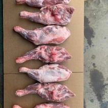 河北沧州羔羊前腿烧烤店熟食店食材质量保障欢迎订购