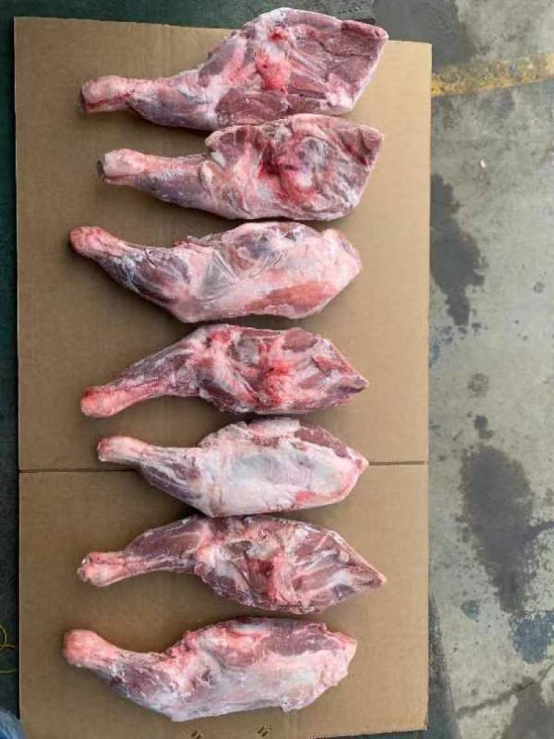 河北沧州羔羊前腿烧烤店熟食店食材质量保障欢迎订购