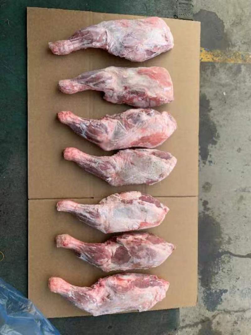 河北沧州羔羊前腿烧烤店熟食店食材质量保障欢迎订购