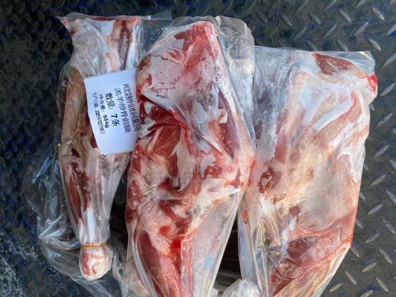 河北沧州羔羊前腿烧烤店熟食店食材质量保障欢迎订购