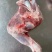 河北沧州羔羊前腿烧烤店熟食店食材质量保障欢迎订购