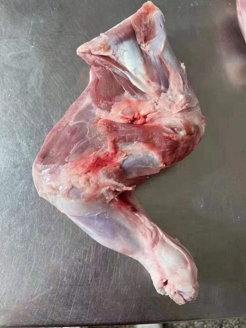 河北沧州羔羊前腿烧烤店熟食店食材质量保障欢迎订购