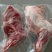 河北沧州羔羊前腿烧烤店熟食店食材质量保障欢迎订购