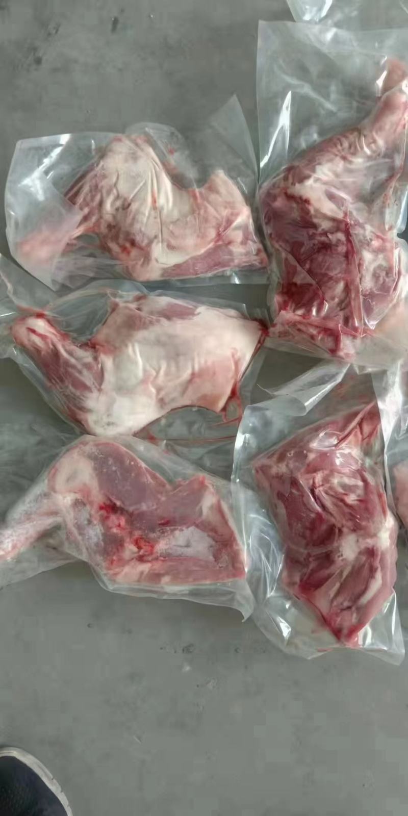 河北沧州羔羊前腿烧烤店熟食店食材质量保障欢迎订购