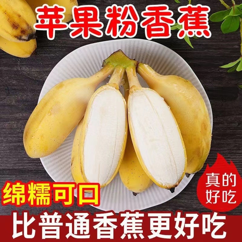 苹果蕉粉蕉糯米蕉西贡蕉孕妇水果整箱净含量3斤5斤9斤