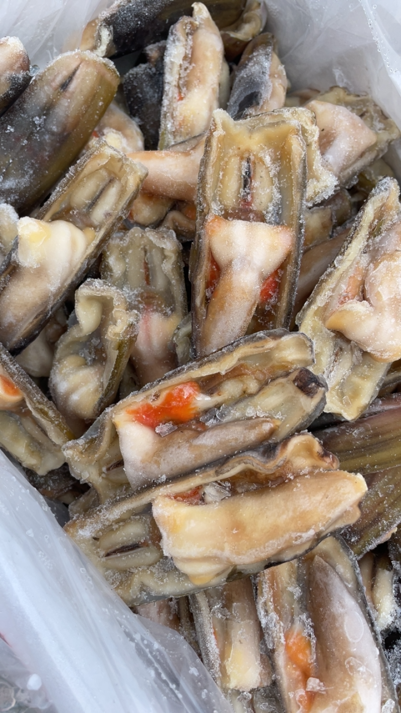 竹节蛏大蛏王蛏子圣子带壳蛏子海蛏子竹蛏王烧烤食材刀把蛏