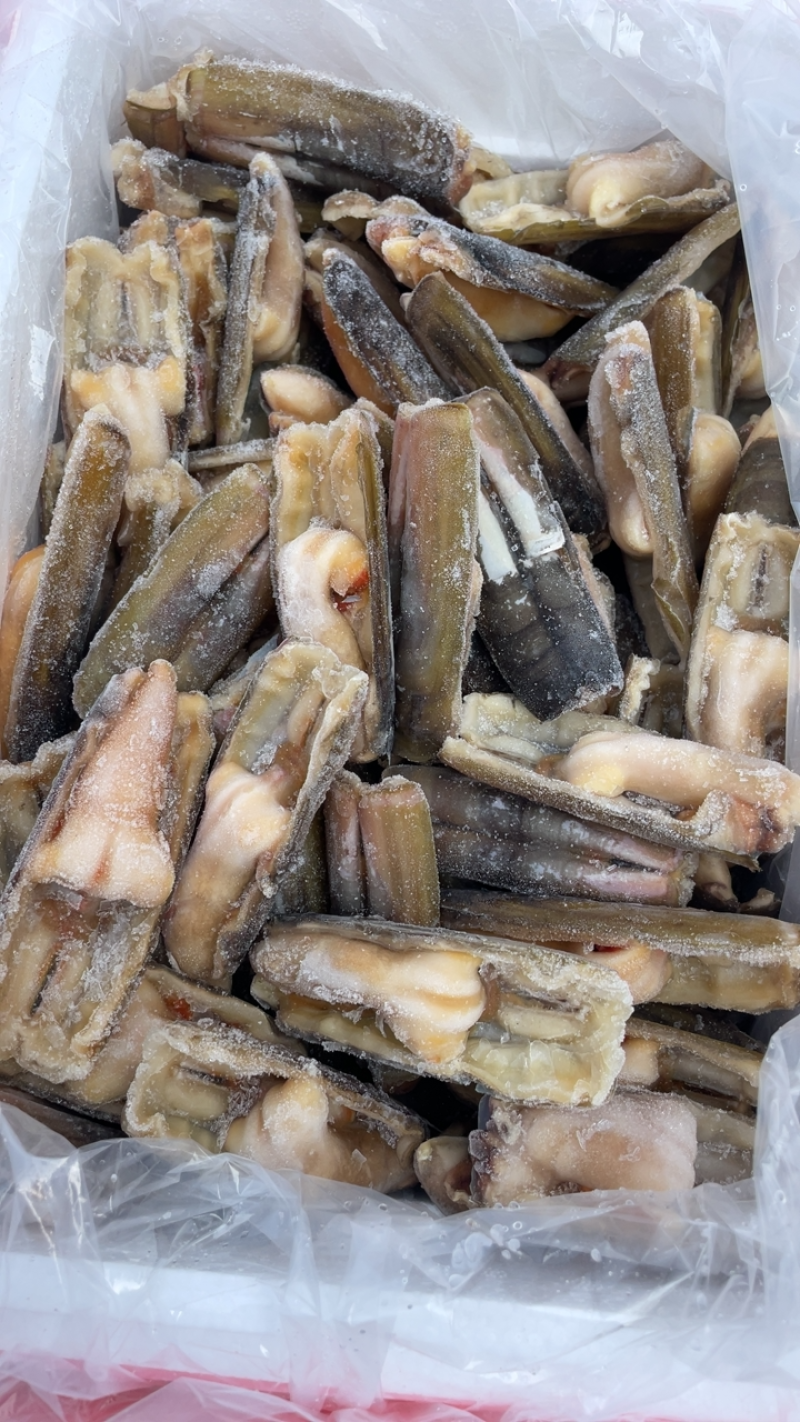 竹节蛏大蛏王蛏子圣子带壳蛏子海蛏子竹蛏王烧烤食材刀把蛏