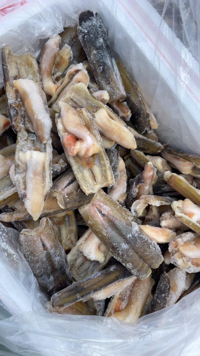 竹节蛏大蛏王蛏子圣子带壳蛏子海蛏子竹蛏王烧烤食材刀把蛏