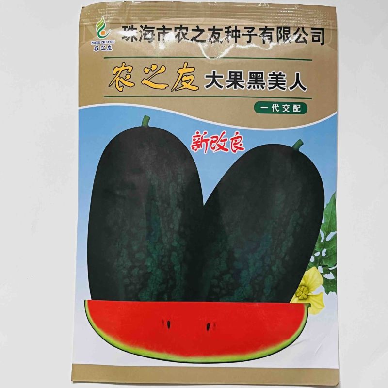 农之友大果黑美人西瓜品种早熟品种红瓤