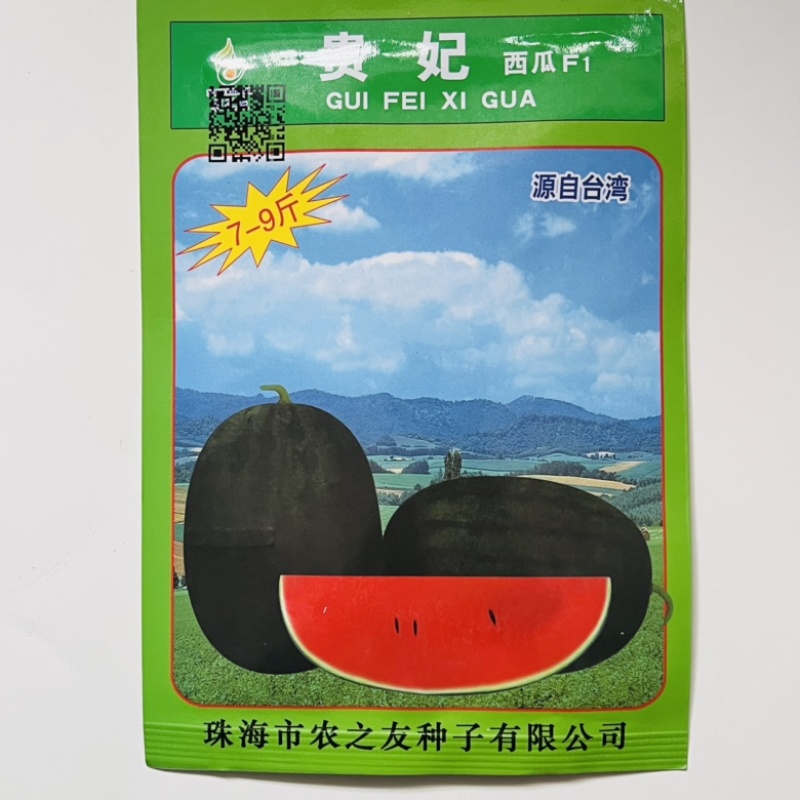 农之友大果黑美人西瓜品种早熟品种红瓤