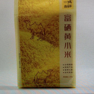 一码当鲜