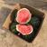 精品甜王西瓜产地一手货源【黑籽红瓤】包成熟支持全国发货