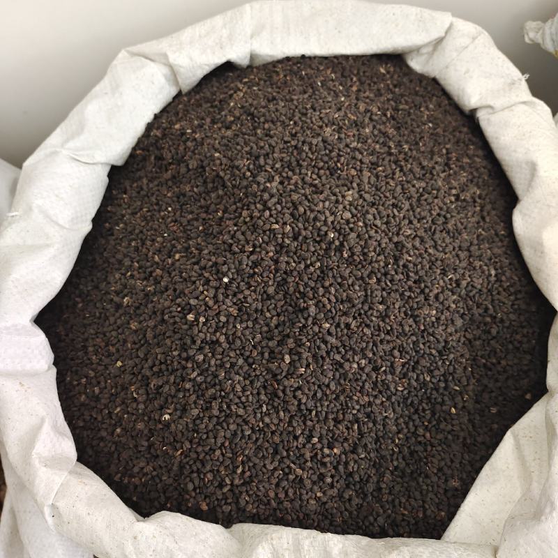补骨脂，破古子，过风车过筛干净，产地货源，保质保量，批发