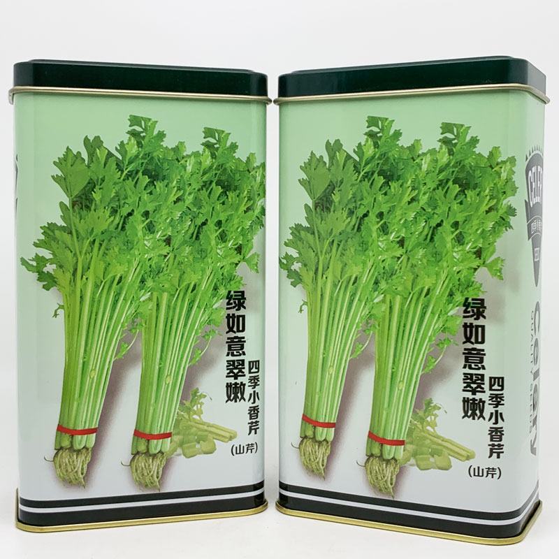 绿如意翠嫩四季小香芹种子黄嫩实心小香芹籽200克原装发货